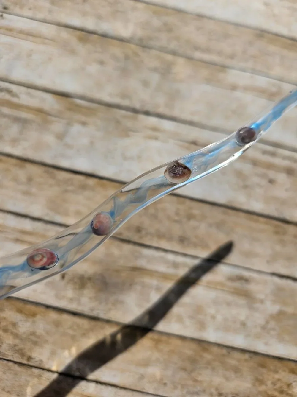Handmade Hair Stick Beach Water Wet Sand Shells